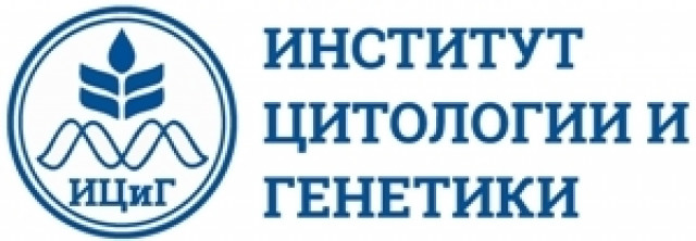 Логотип ИЦиГ