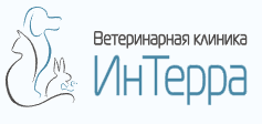 Логотип Интерра